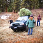 Cut down our christmas tree in the forest service land behind the parents house. Great access back there!