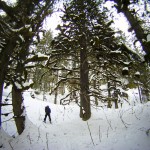 Sarah in the Enchanted Forest.