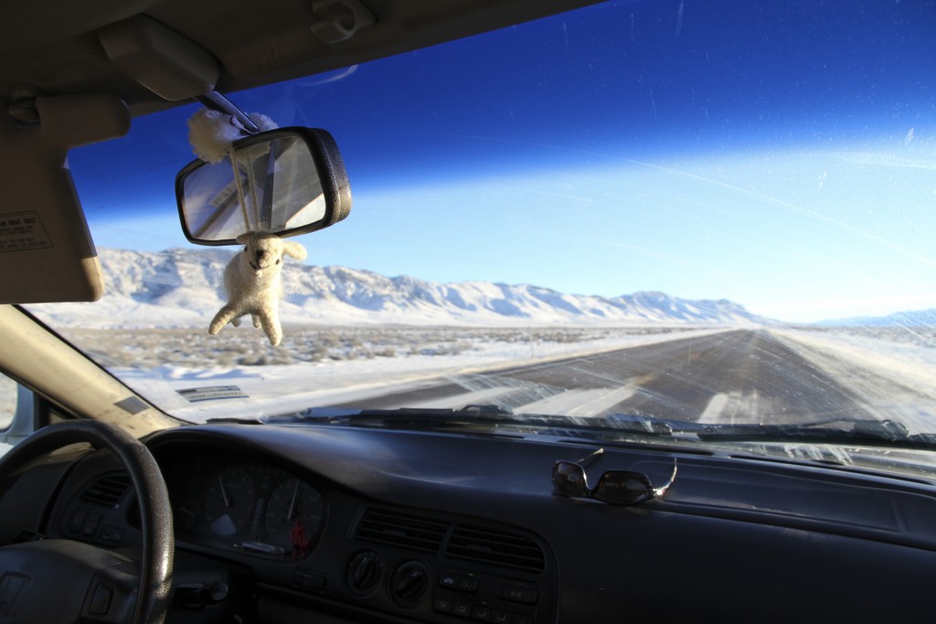 Our 2012 Christmas ornament accompanied us on the way to Vegas thanks to my parents.