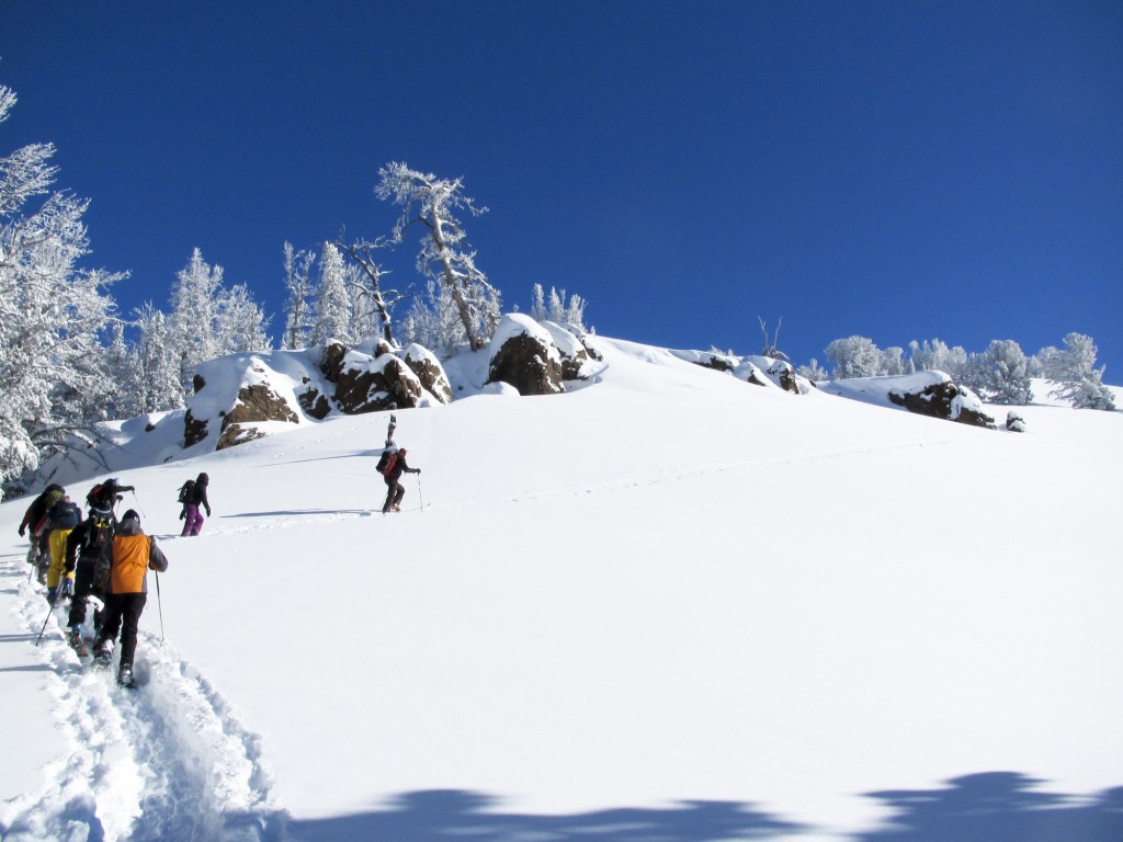 Blase leading our section of the awareness class into a perfect winter landscape on Galena Summit.