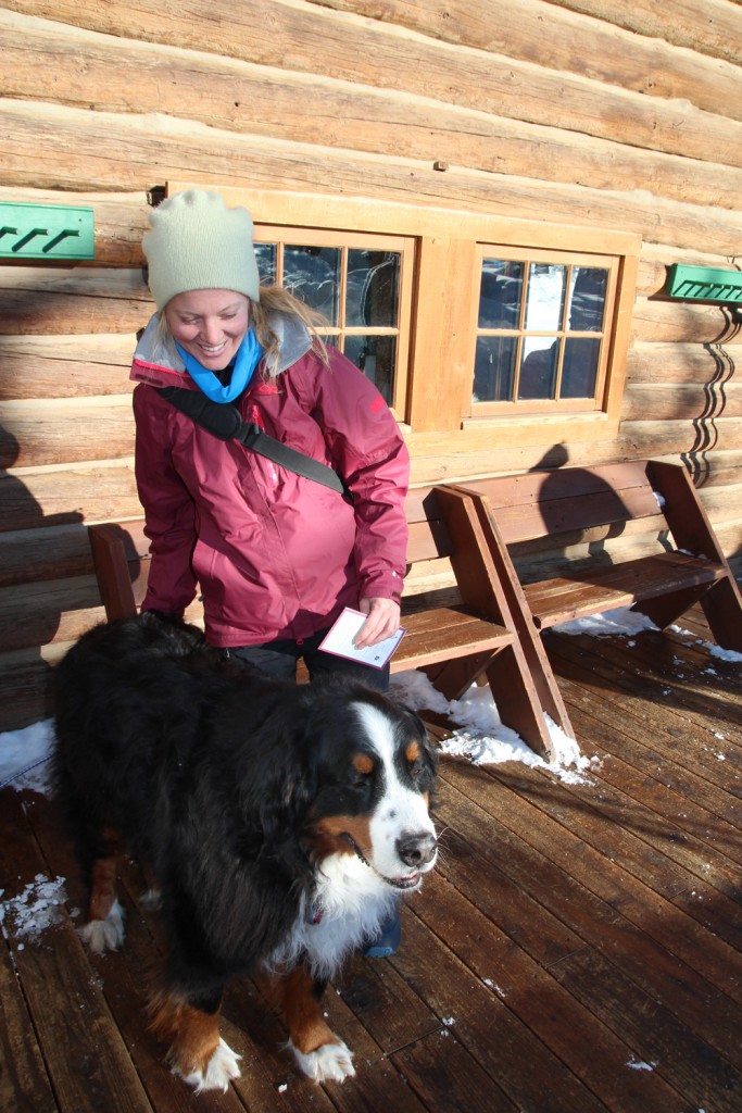 Not that we needed more confirmation that Burmese Mountain Dogs are cool as hell!