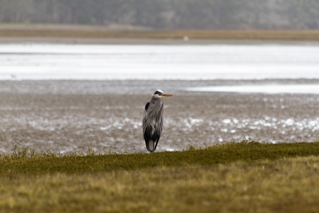 130217_Family_Beach_037