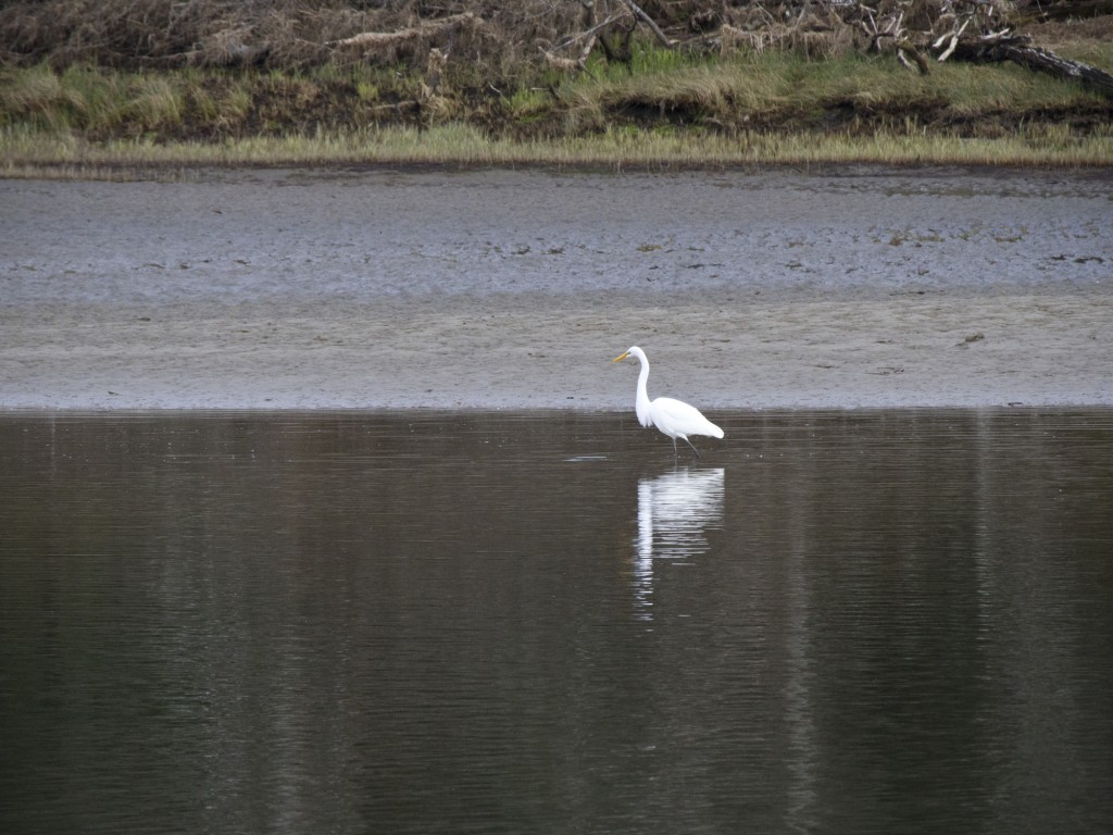 130217_Family_Beach_090