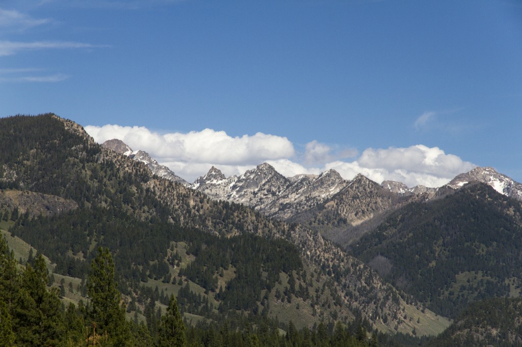 A view of the Sawtooth's from the Lowman side.