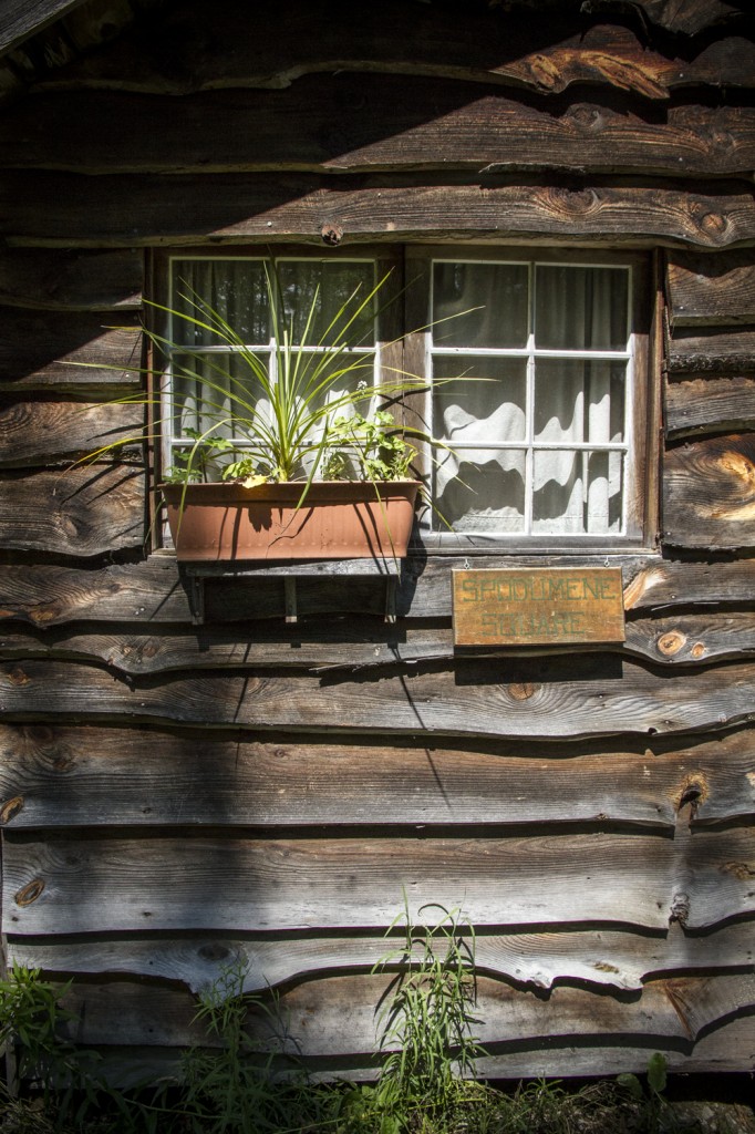 Sarah and Brett's cabin.