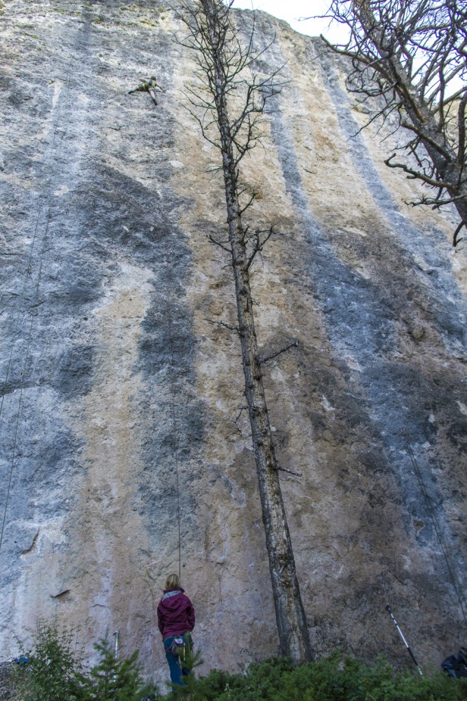 Ben getting his Shinto on with a redpoint of Wu-Tangs Wild Shinto Ride (5.12a).