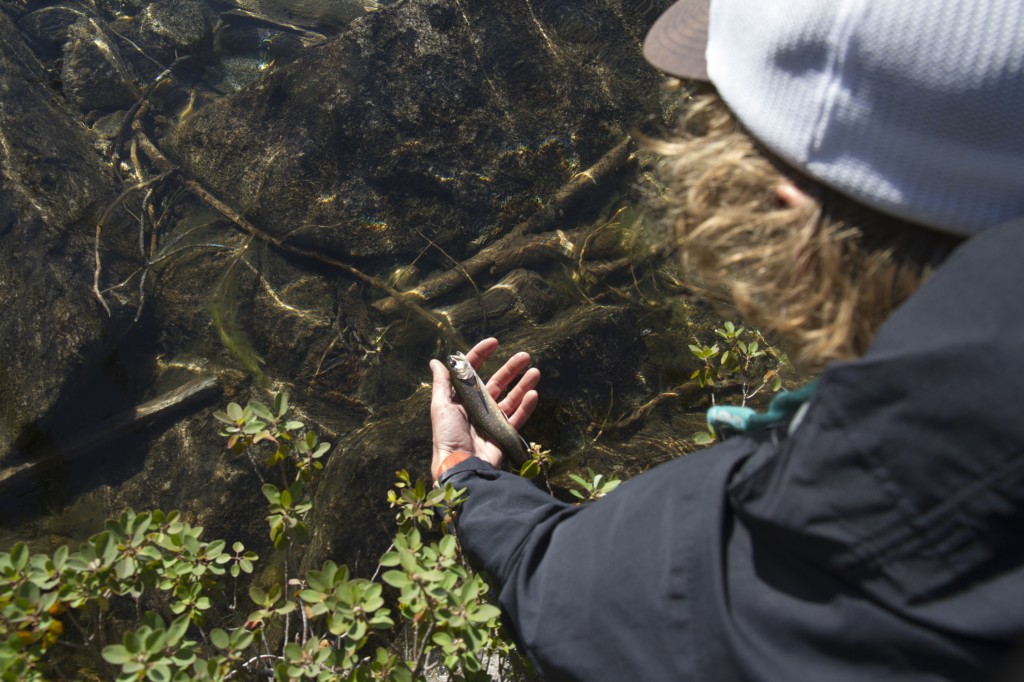 Catching little Brook Trout from our camp lake.