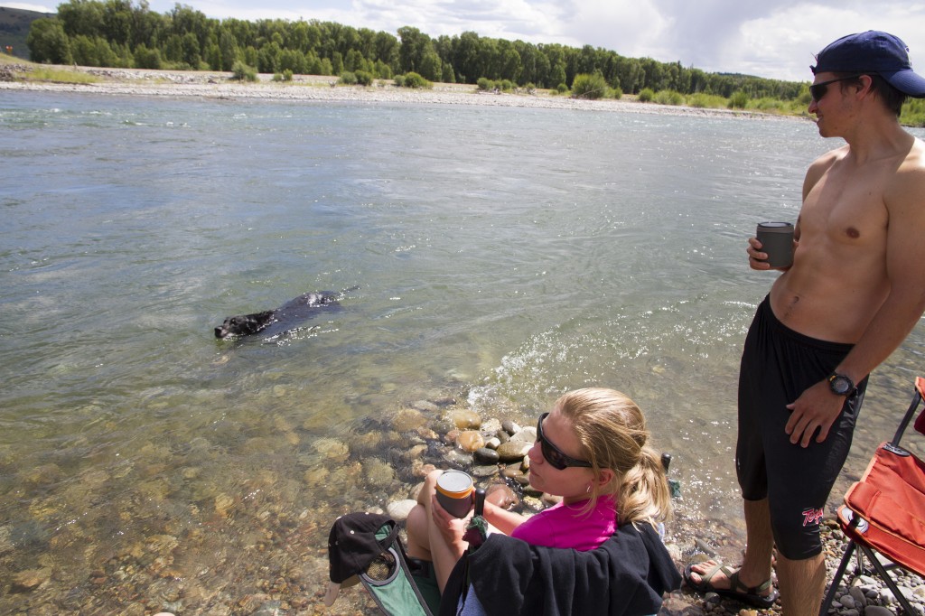 This dog would run 100 yards up stream, dive off a bank and float down the river to us only to repeat, over and over! So cool!