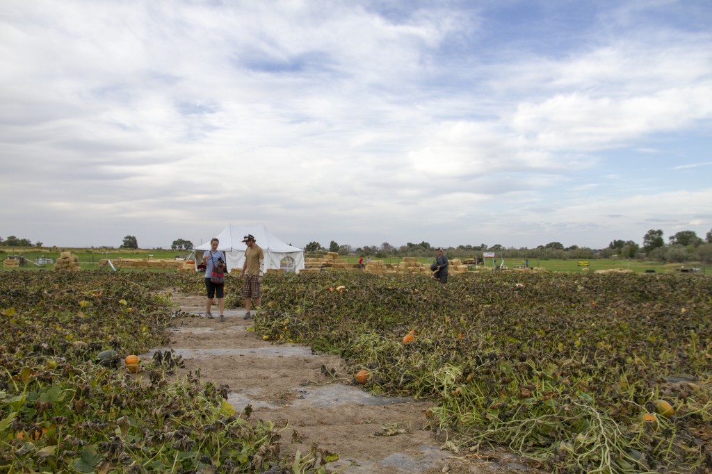 130921_PumpkinPatch_03