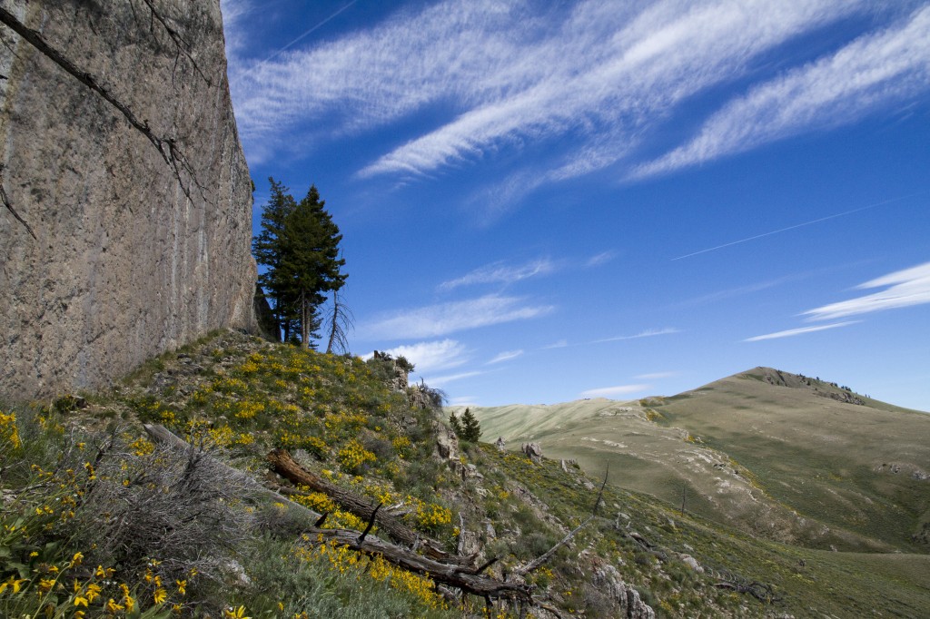 Beautiful Upper Headwall. Amazing routes, 5 min from camp.