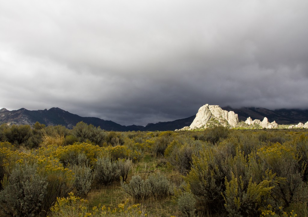 A beautiful morning in the mountains of Idaho.