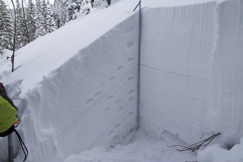 Our snow pit between Twin Chutes. Layers were drawn in for emphasis. Here it was storm snow above the upper line and facets and depth hoar below. 