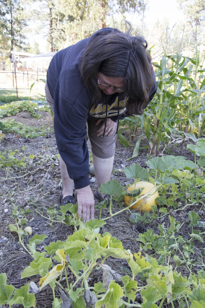 Shirley checking out the pumpkins!