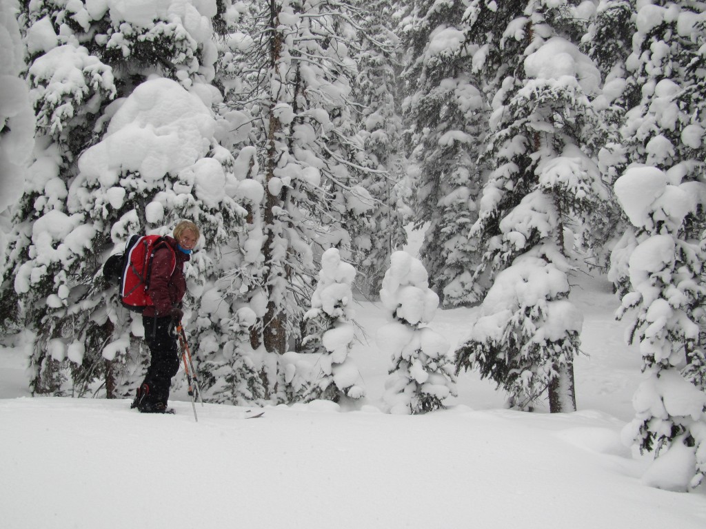 Near and below treeline was creamy good powder.