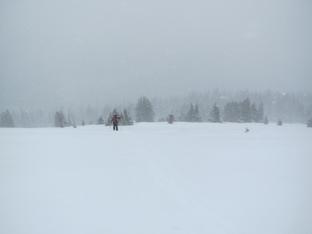 Starting to get windy above treeline.