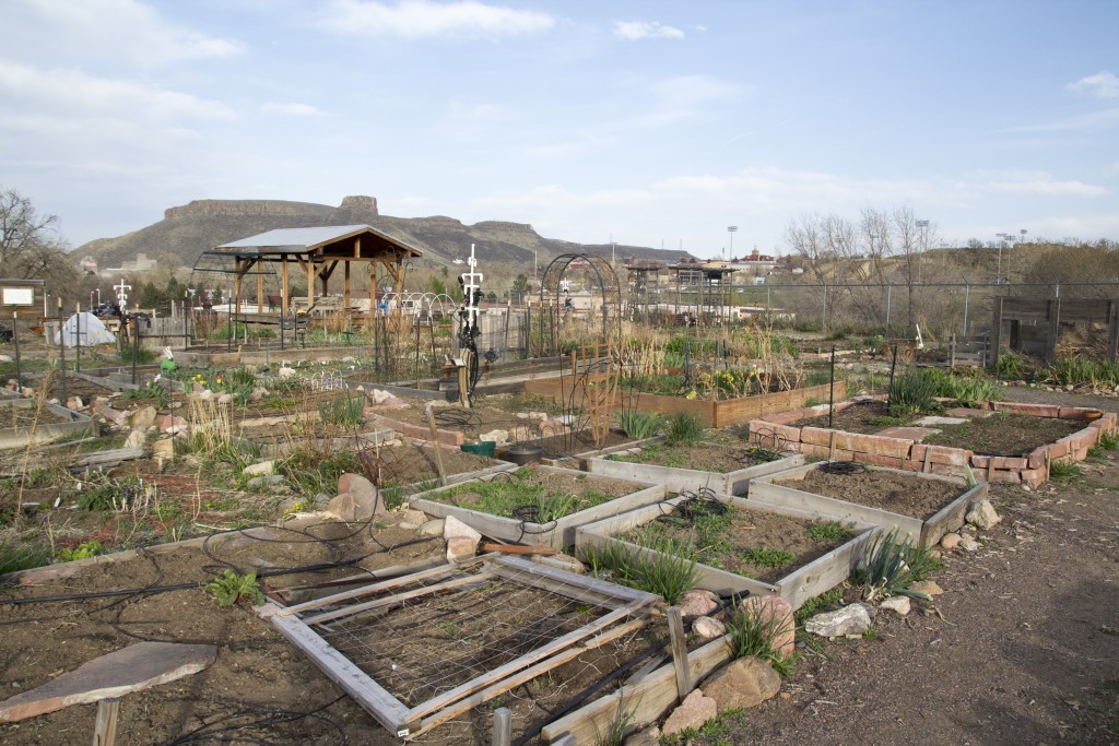 Overview of the Golden Community Garden. Complete with a hive of bees, composting system and tool shed. Garden parties with beer and a fire throughout the summer. Less than 10 min walk. 