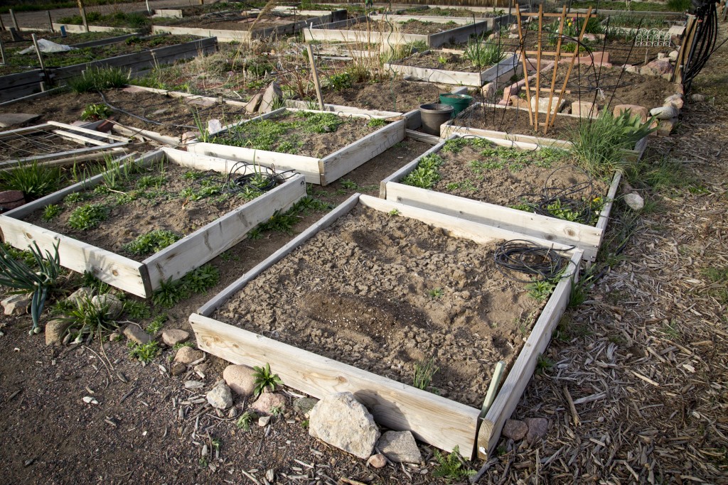 The four planter boxes in the foreground are ours for the summer! Need some work though.