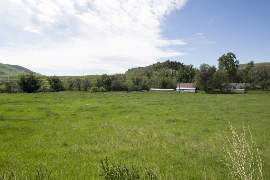 View from the side yard over Jefferson County Open Space. 