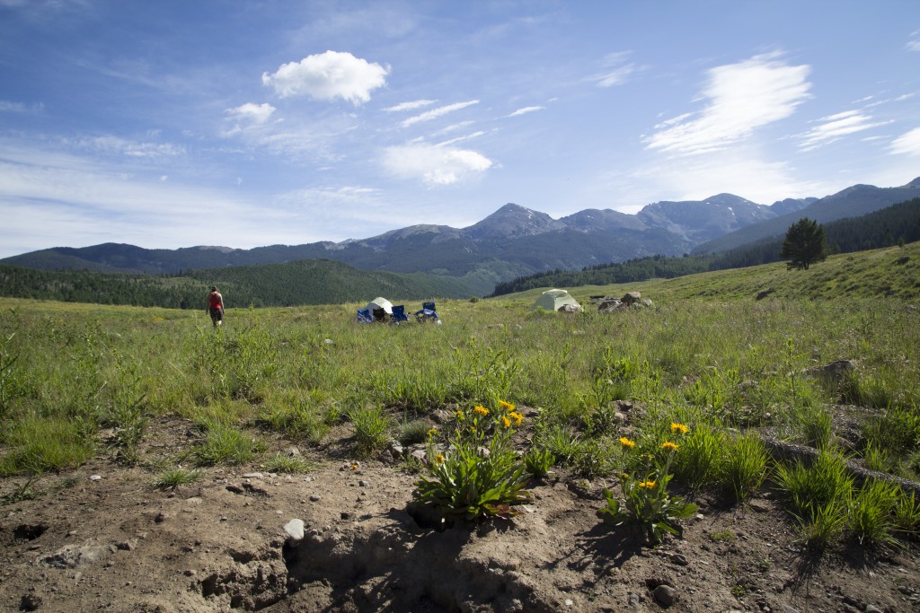 View of the Holy Cross Wilderness from Lime Creek.