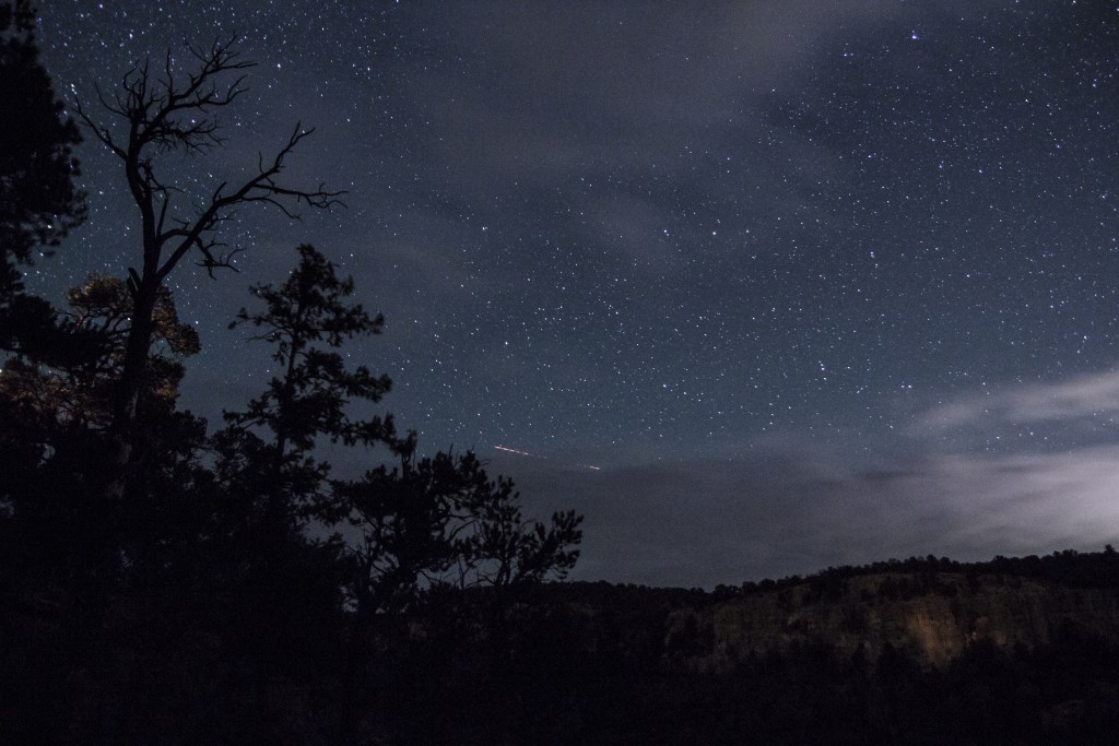 Shelf at night.