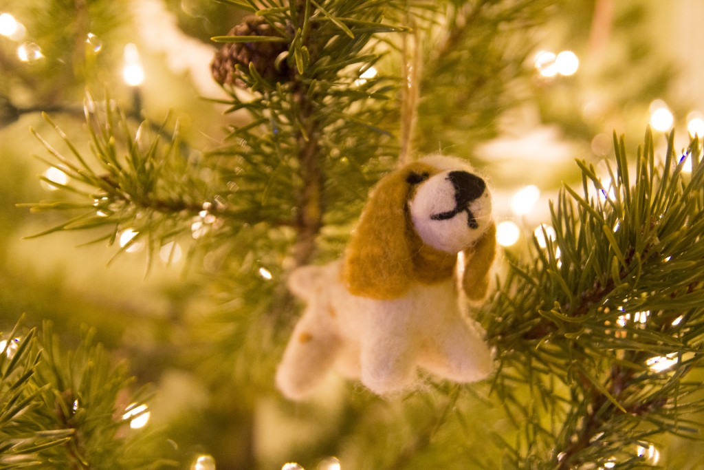 Our annual Christmas ornament. After some half-hearted selections Robyn came across this little Chossy lookalike! 