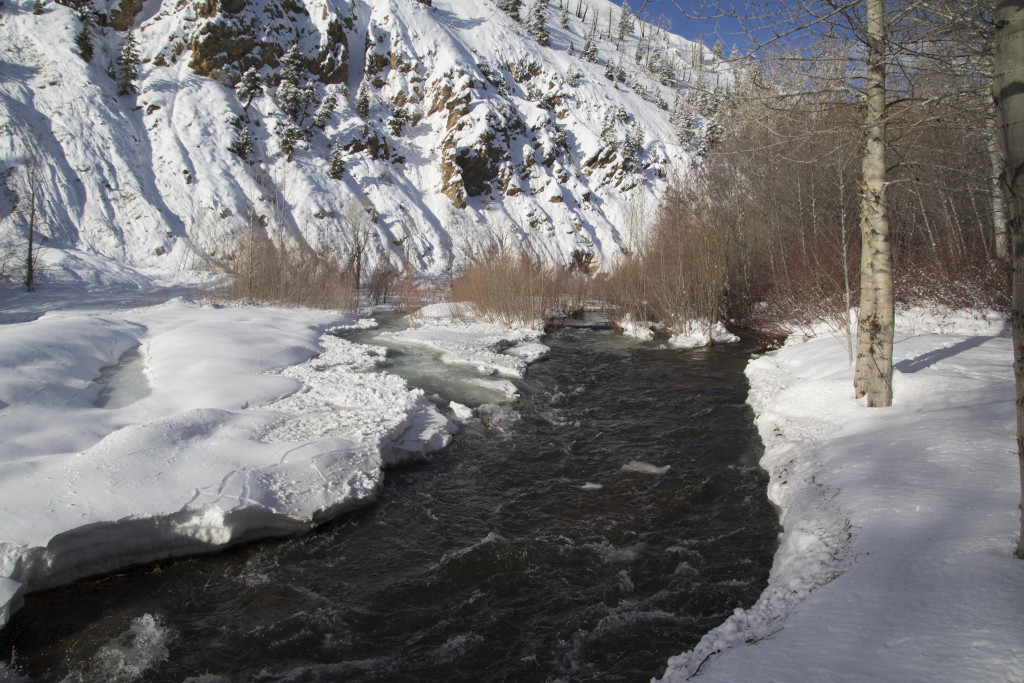 The avalanche blocked the river (by the cliffs) and rerouted it into this flood channel. 