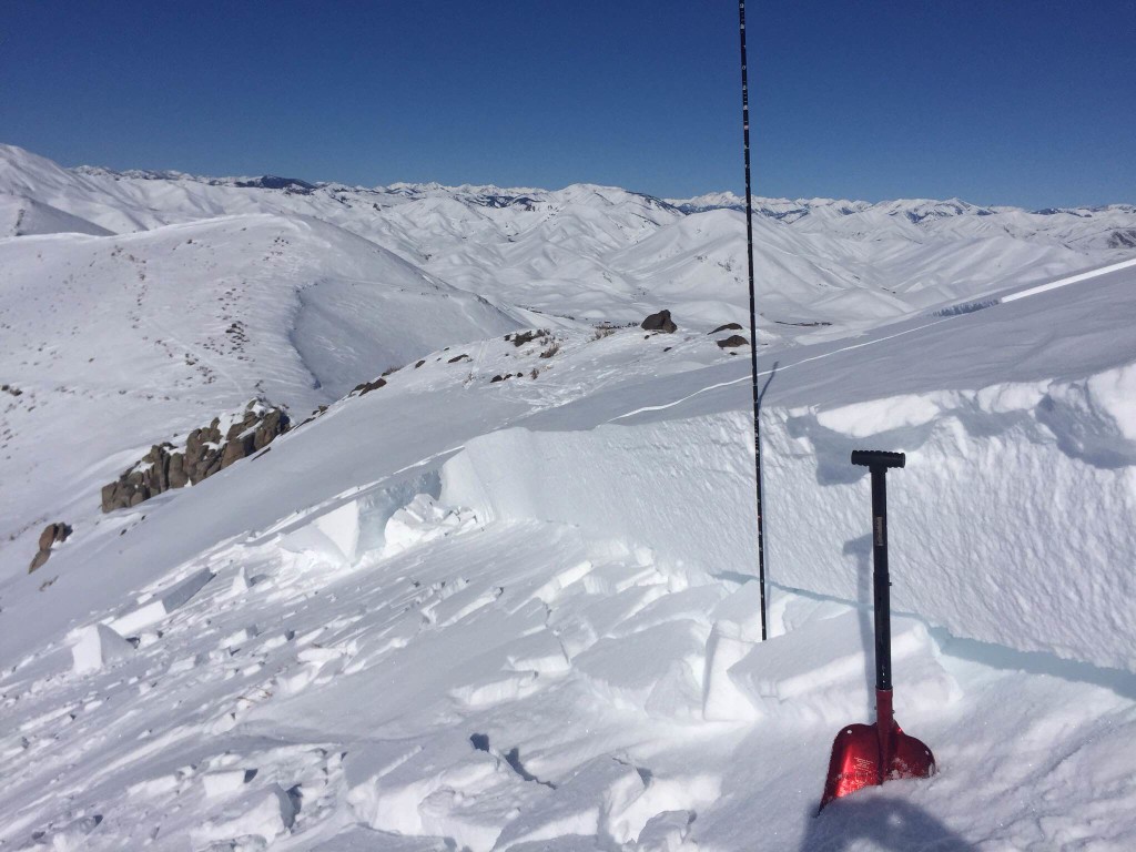 JP triggered this slab avalanche a week or so ago behind our house in Croy Canyon. 