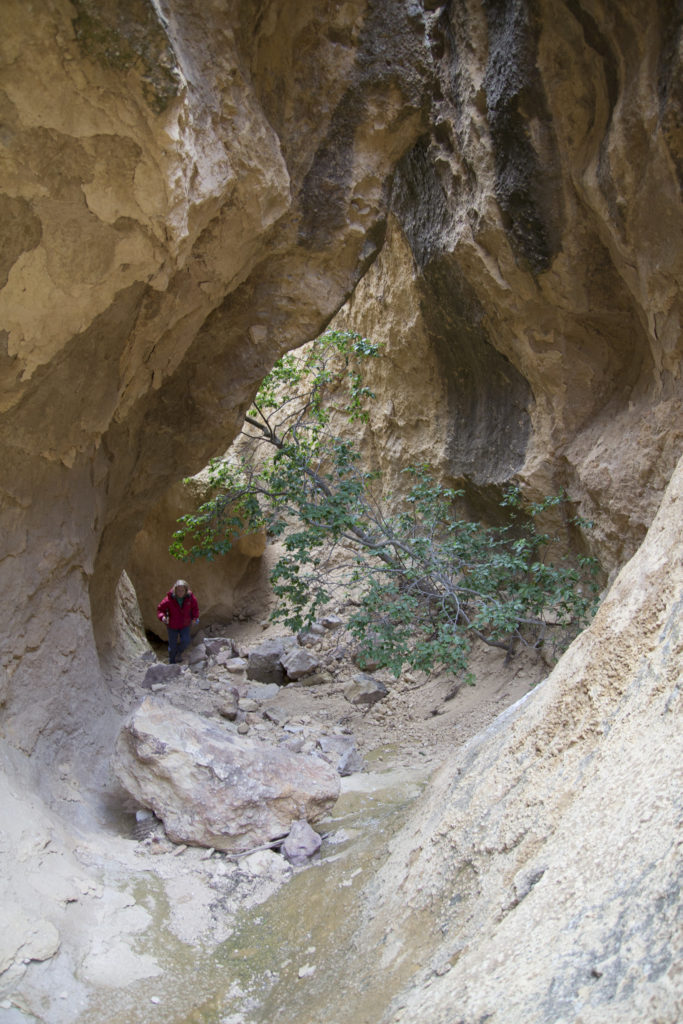 Post-climbing hike into a random canyon led to all sorts of cool finds.