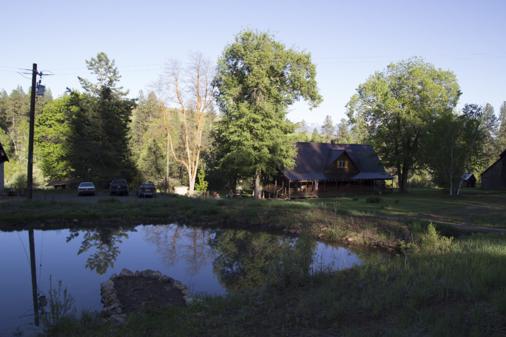 Nighthawk. Pond is filled for the season and ready for loungin'. 