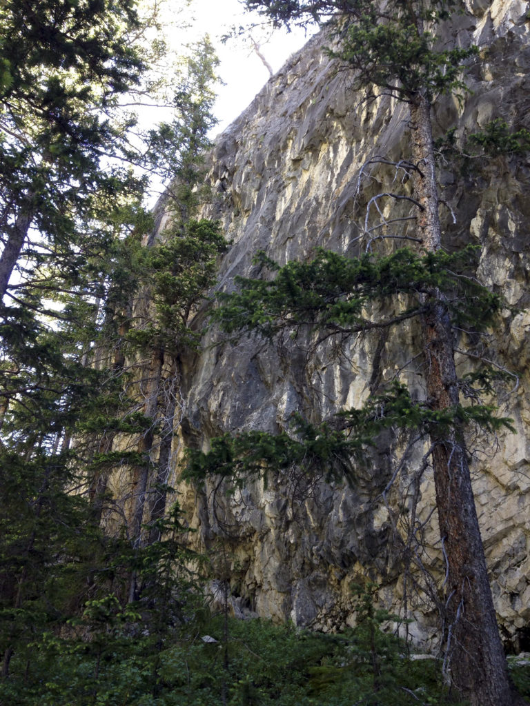 Park of the Main Wall at Cedar Creek.