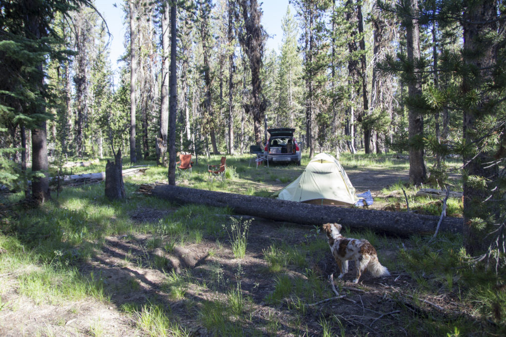 Camp One: and unexpected side trip into Bear Valley. Bring bug spray a can of gas and a camera. 