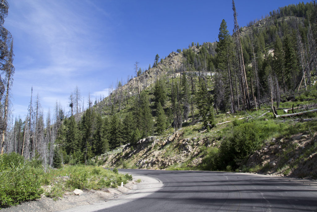 A sweet steep grade as we descended toward Cascade, Idaho.